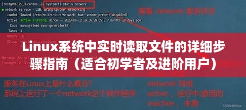 Linux系统实时读取文件操作详解，从入门到进阶的指南