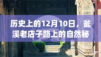 瓮溪老店子路上的自然秘境探索之旅，历史性的12月10日之旅