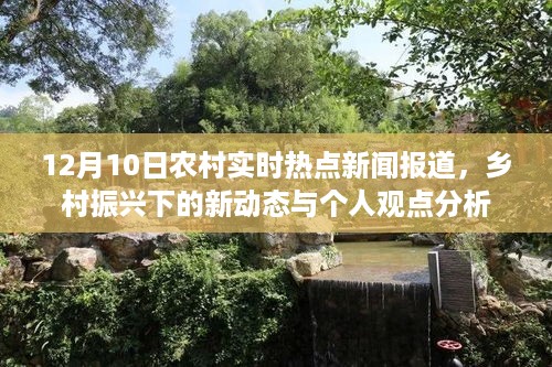 乡村振兴新动态报道与个人观点分析，农村实时热点新闻深度解读（12月10日）