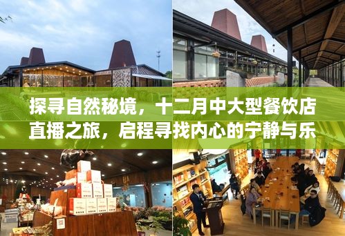 探寻自然秘境，开启十二月餐饮店直播之旅，寻找内心的宁静与美食享受