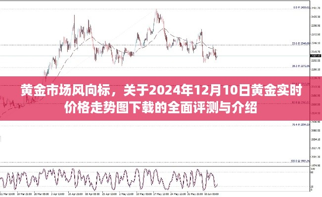 2024年12月10日 第19页