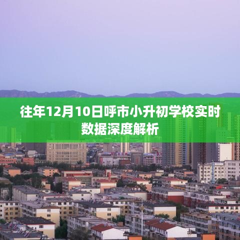 呼市小升初学校实时数据深度解析，历年12月10日分析摘要