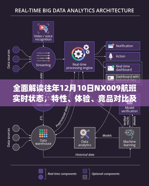 往年NX009航班深度解析，实时状态、特性体验、竞品对比及用户群体全面剖析