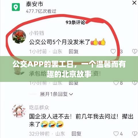 公交APP罢工日背后的北京温情故事