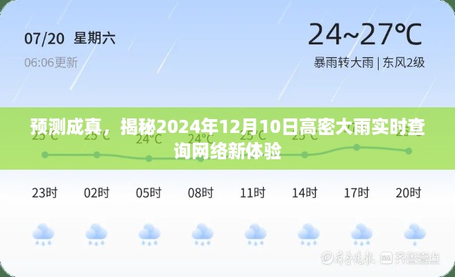 揭秘未来高密大雨实时查询网络新体验，预测成真，2024年12月10日高密雨情预测网络体验报告