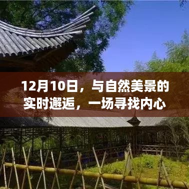 12月10日，与自然美景的邂逅，寻找内心平静的奇妙旅程