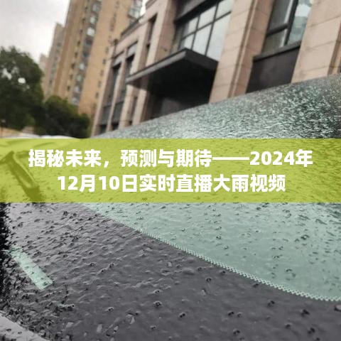 揭秘未来，2024年12月10日实时直播大雨视频——预测与期待的大雨实况揭秘