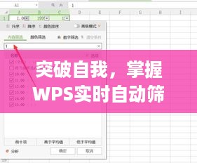 突破自我，WPS实时自动筛选的学习之旅与成就之路