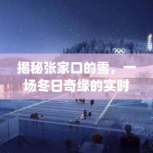 张家口雪韵，冬日奇缘的实时记录