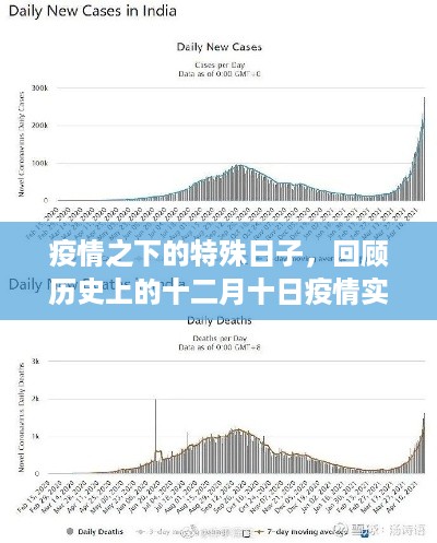 疫情特殊日子的回顾，十二月十日疫情实时数据与历史的对话