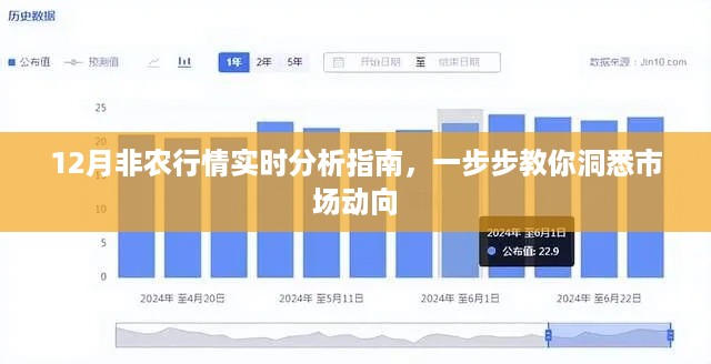 12月非农行情实时解析，洞悉市场动向的实战指南