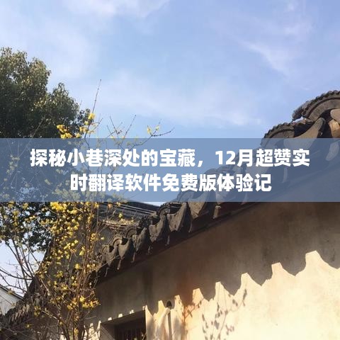 小巷深处的宝藏，揭秘12月超赞实时翻译软件免费版体验之旅