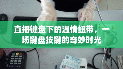 直播键盘下的奇妙时光，温情纽带与按键之旅