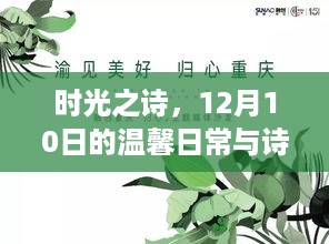 时光之诗，温馨日常的诗意相伴——12月10日