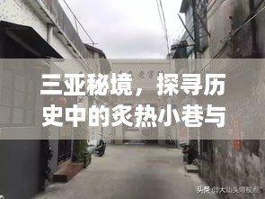 三亚秘境探秘，历史小巷与独特风味小店之旅