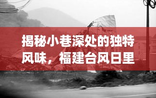 福建台风日小巷深处的独特风味揭秘，意外收获的美食惊喜