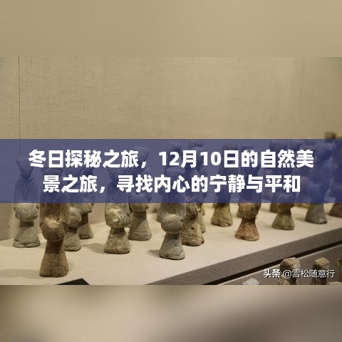 冬日探秘之旅，寻找自然美景中的宁静与平和