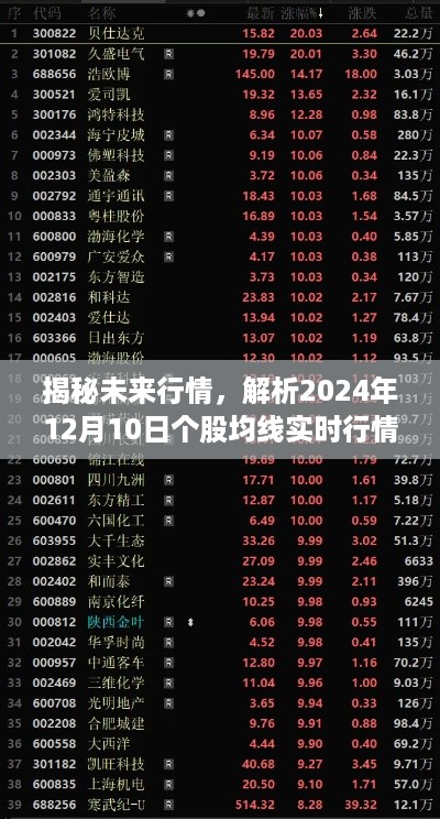 揭秘未来行情，个股均线实时行情预测与挑战（2024年12月10日）