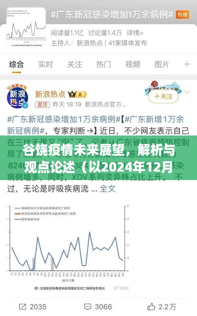 谷饶疫情未来展望，解析与观点论述（至2024年12月视角）