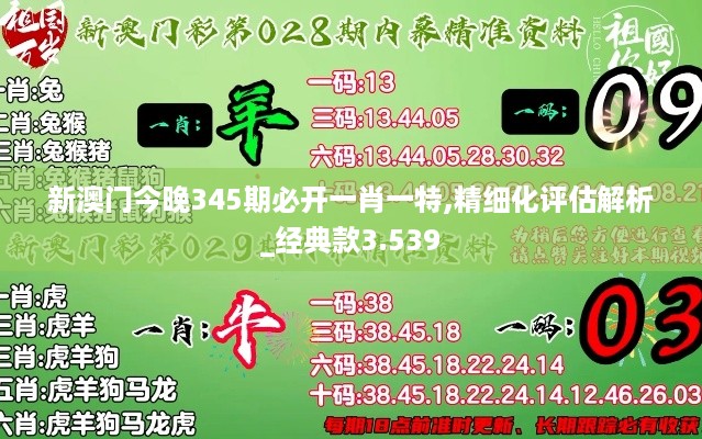 新澳门今晚345期必开一肖一特,精细化评估解析_经典款3.539