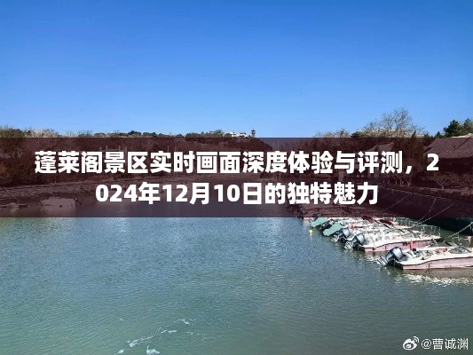 蓬莱阁景区深度体验与实时画面评测，探寻独特魅力之旅（2024年12月10日）