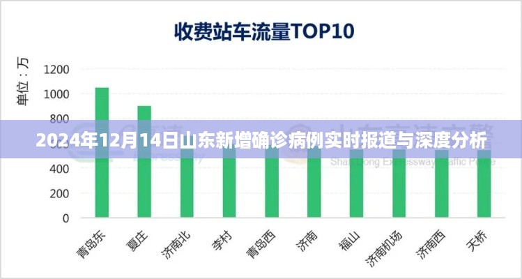 山东新增确诊病例实时报道与深度分析（2024年12月14日）