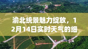 渝北统景魅力绽放，12月14日实时天气的细致观察与描绘