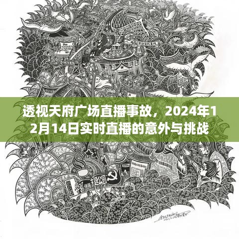 天府广场直播事故揭秘，实时直播的意外与挑战（发生在2024年12月14日）