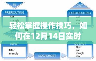 轻松掌握操作技巧，如何在特定日期实时查看本机IP地址