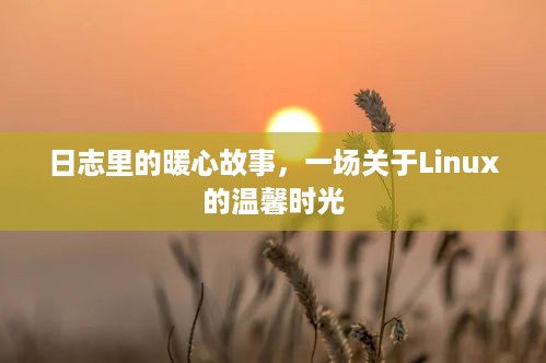 日志中的暖心故事，Linux的温馨时光探索