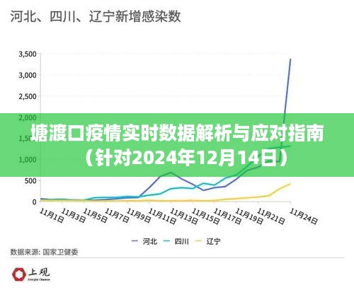 塘渡口疫情最新实时数据解析及应对指南（针对2024年12月14日）