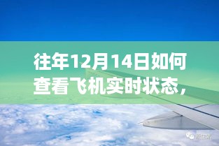 如何查看往年12月14日飞机实时状态，方法与技巧