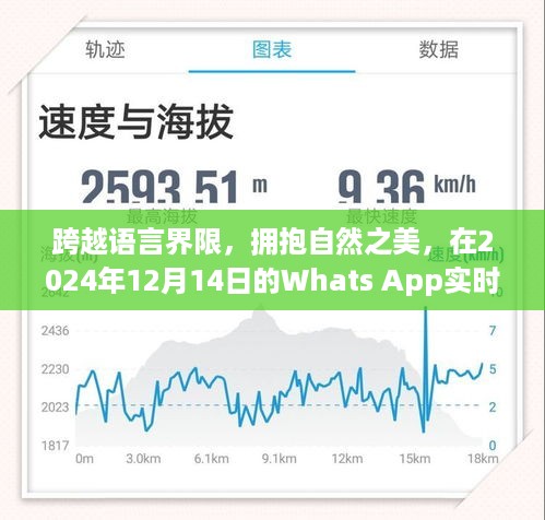 跨越语言界限，借助Whats App实时翻译软件发现自然之美与内心宁静的旅程