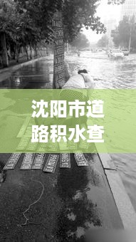 沈阳市道路积水查询新篇章，雨后旅行冒险之旅探寻内心平静之路