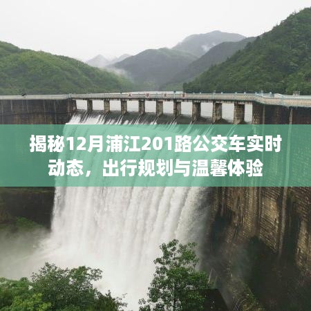 揭秘浦江公交动态，探寻12月浦江201路公交车实时动态与出行规划指南，温馨体验之旅