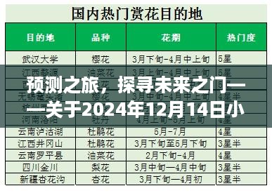 探索未来之门，预测之旅揭秘2024年小道指实时点位