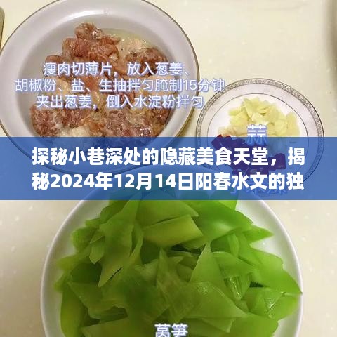 探秘小巷深处的隐藏美食天堂，阳春水文独特风情揭秘（XXXX年XX月XX日）