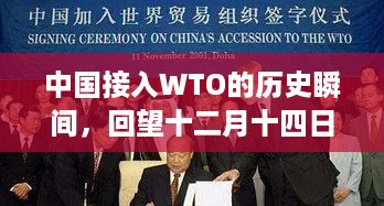 中国接入WTO的辉煌时刻，回望十二月十四日的喜悦瞬间