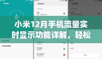 小米12月手机流量实时显示功能全面解析，轻松掌握流量使用情况