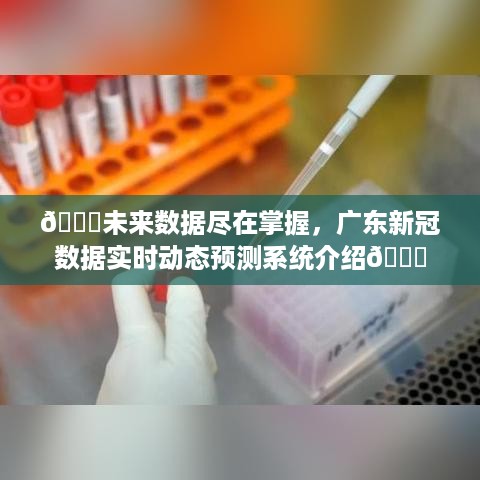 广东新冠数据实时动态预测系统，掌握未来数据，洞悉疫情走向