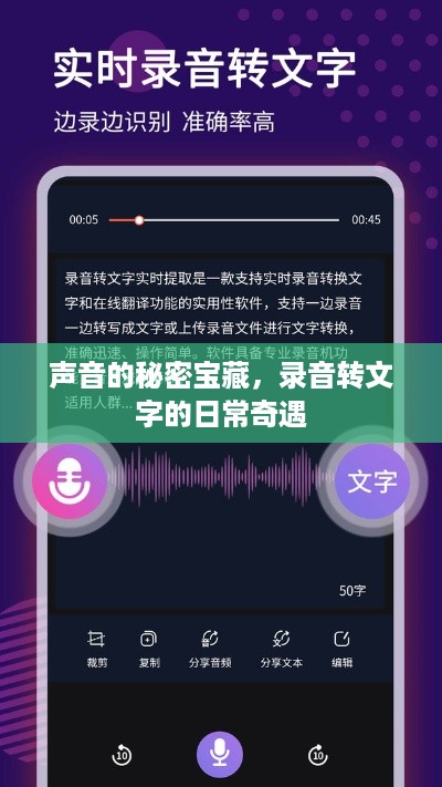 声音的秘密宝藏，录音转文字的奇妙之旅