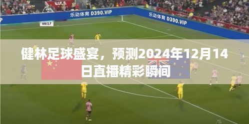 健林足球盛宴，直播精彩瞬间预测，2024年12月14日瞩目时刻回顾