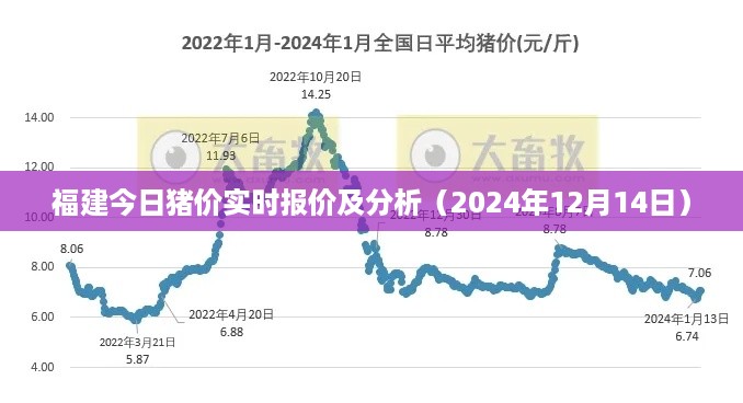 福建今日猪价实时报价及分析（最新行情，深度解读）