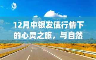 12月中银发债行情下的心灵之旅，与自然美景的深情邂逅