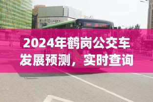 鹤岗公交车发展预测与实时查询系统进步展望（2024年）