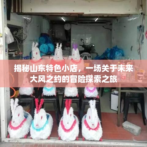 山东特色小店探秘，未来大风之约的冒险之旅