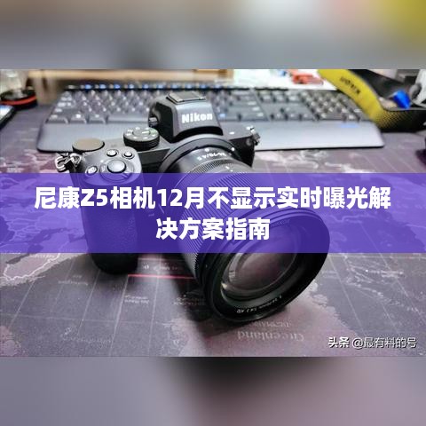 尼康Z5相机12月实时曝光问题解决方案指南