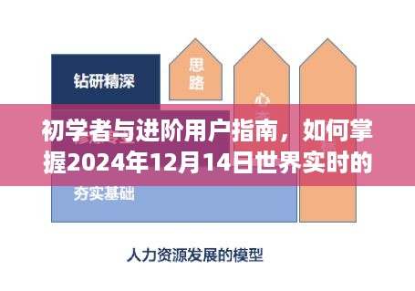 初学者与进阶用户指南，掌握最新技能与任务，迎接2024年12月14日实时挑战