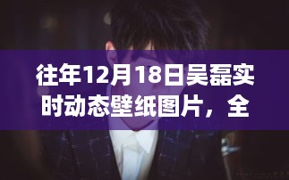 往年12月18日吴磊实时动态壁纸，全面评测与介绍