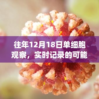 单细胞观察实时记录的可能性探讨，历年12月18日的观察记录分析